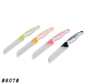 Stainless Steel Fruit Knife, 4 Pieces - Multi Color